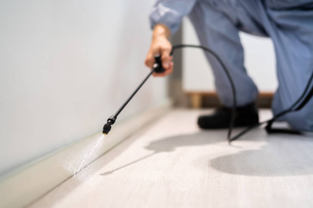 Licensed Termite Control service in Lyons, KS - Nex Pest Control