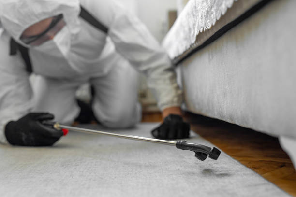 Professional Termite Control technician working in Lyons, KS