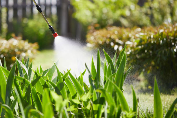 24/7 Emergency Termite Control experts in Lyons, KS
