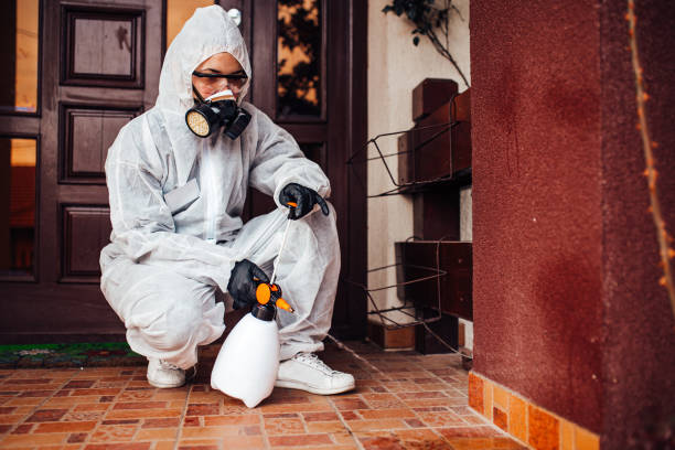 Reliable Termite Control contractor in Lyons, KS by Nex Pest Control