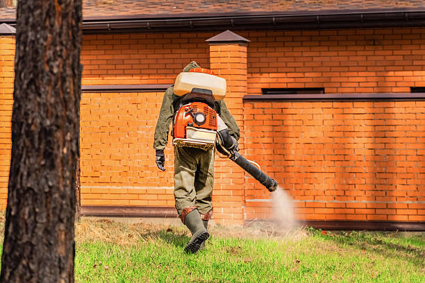 Top rated local Termite Control specialists in Lyons, KS